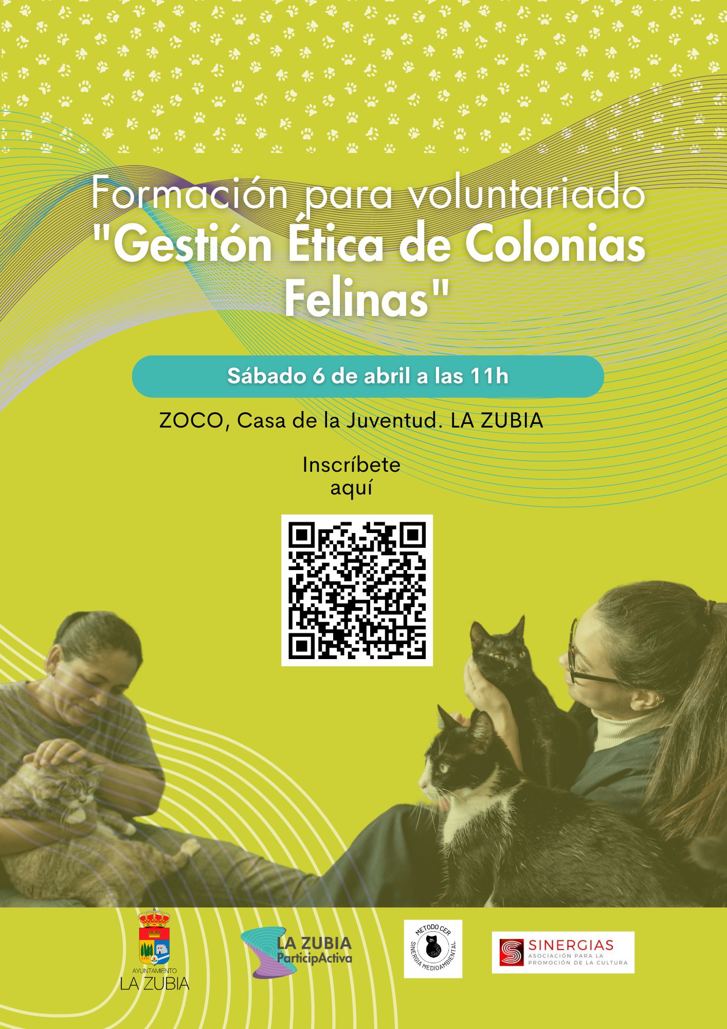 Formación: voluntariado en gestión de colonias felinas
